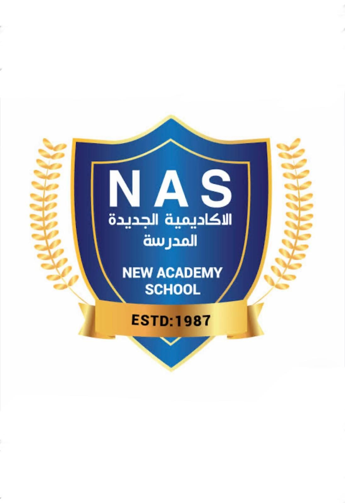 The story of the New Academy School