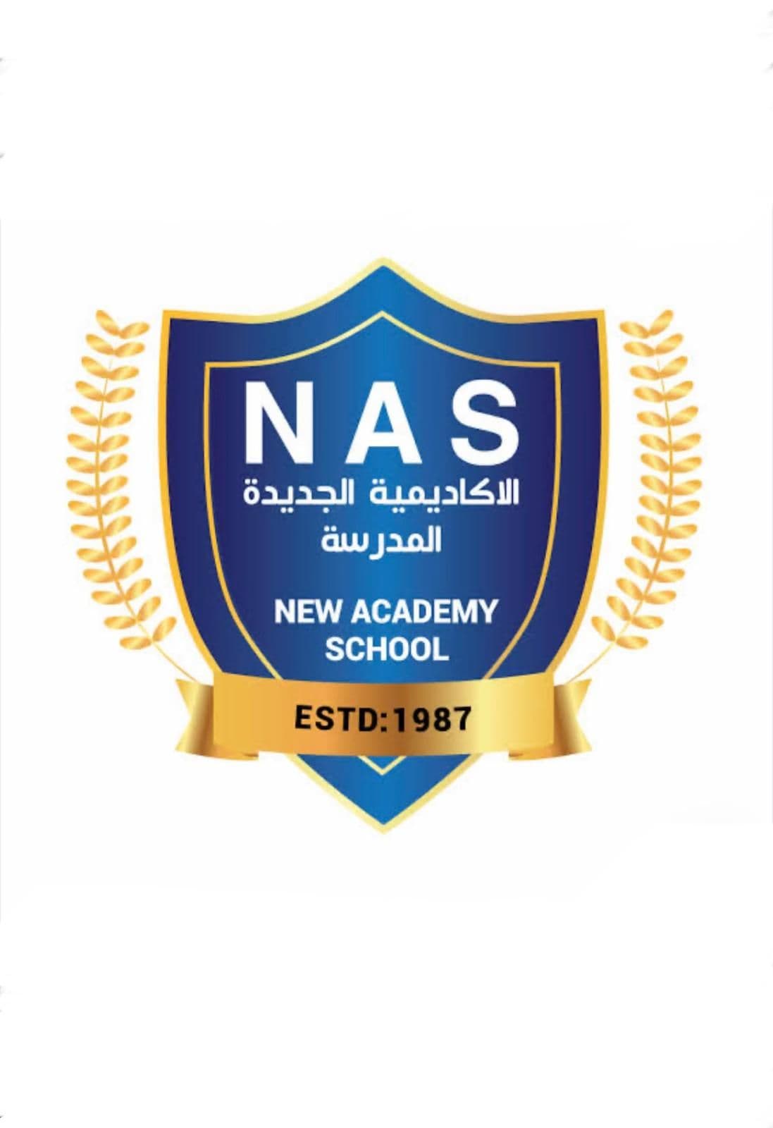 قصة المدرسة الأكاديمية الجديدة